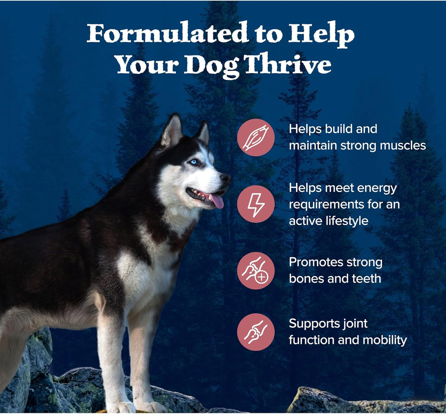 Blue Buffalo Wilderness High Protein Natural Adult Dry Dog Food Plus Wholesome Grains, Salmon 4.5 LB Bag