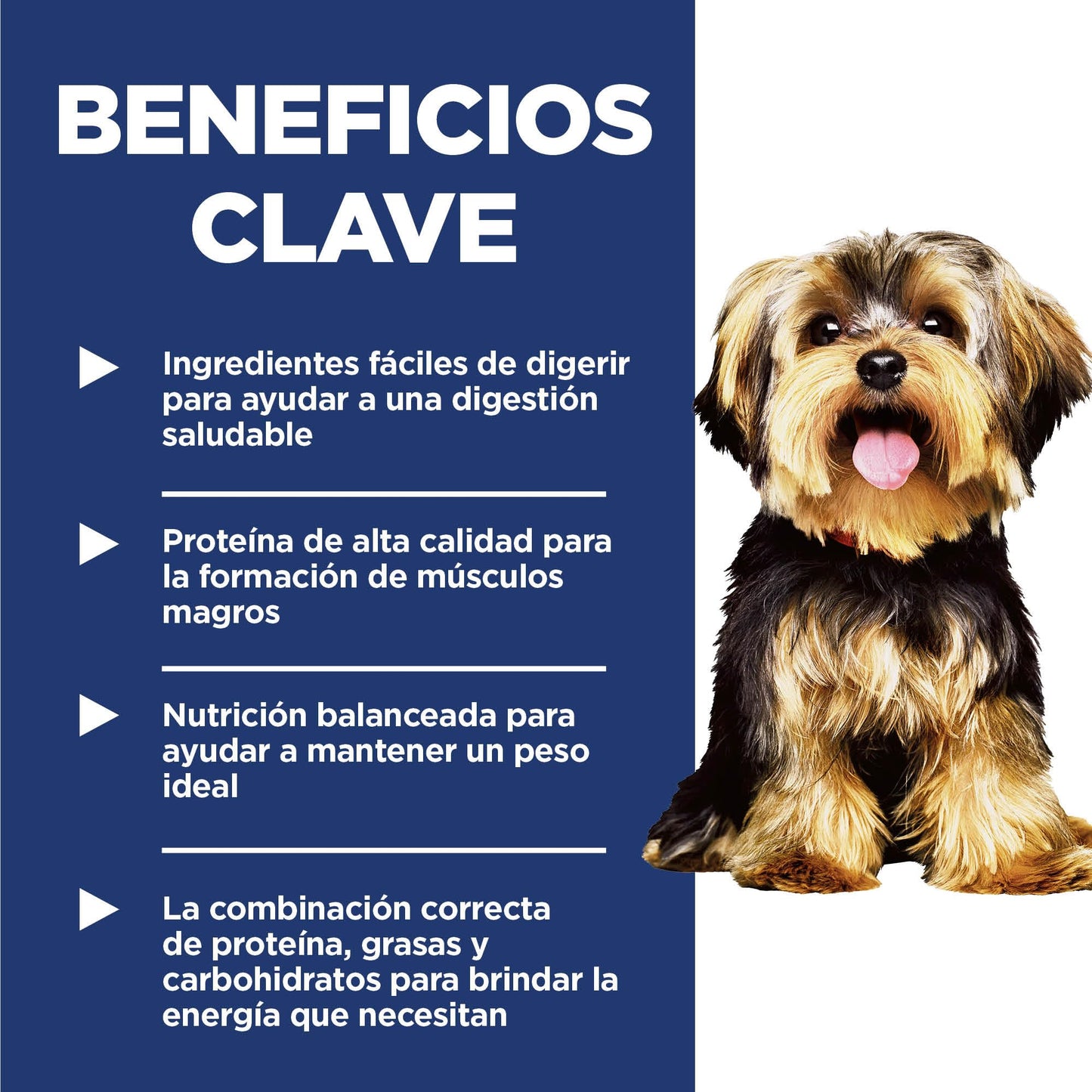 Hill's Science Diet Small & Mini, Croquetas para Perro Adulto De Raza Pequeña Sabor Pollo 2Kg
