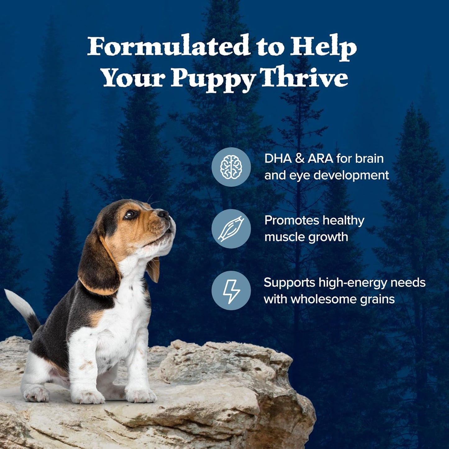 Blue Buffalo Wilderness High Protein Natural Puppy Dry Dog Food Plus Wholesome Grains, Chicken 13 lb Bag