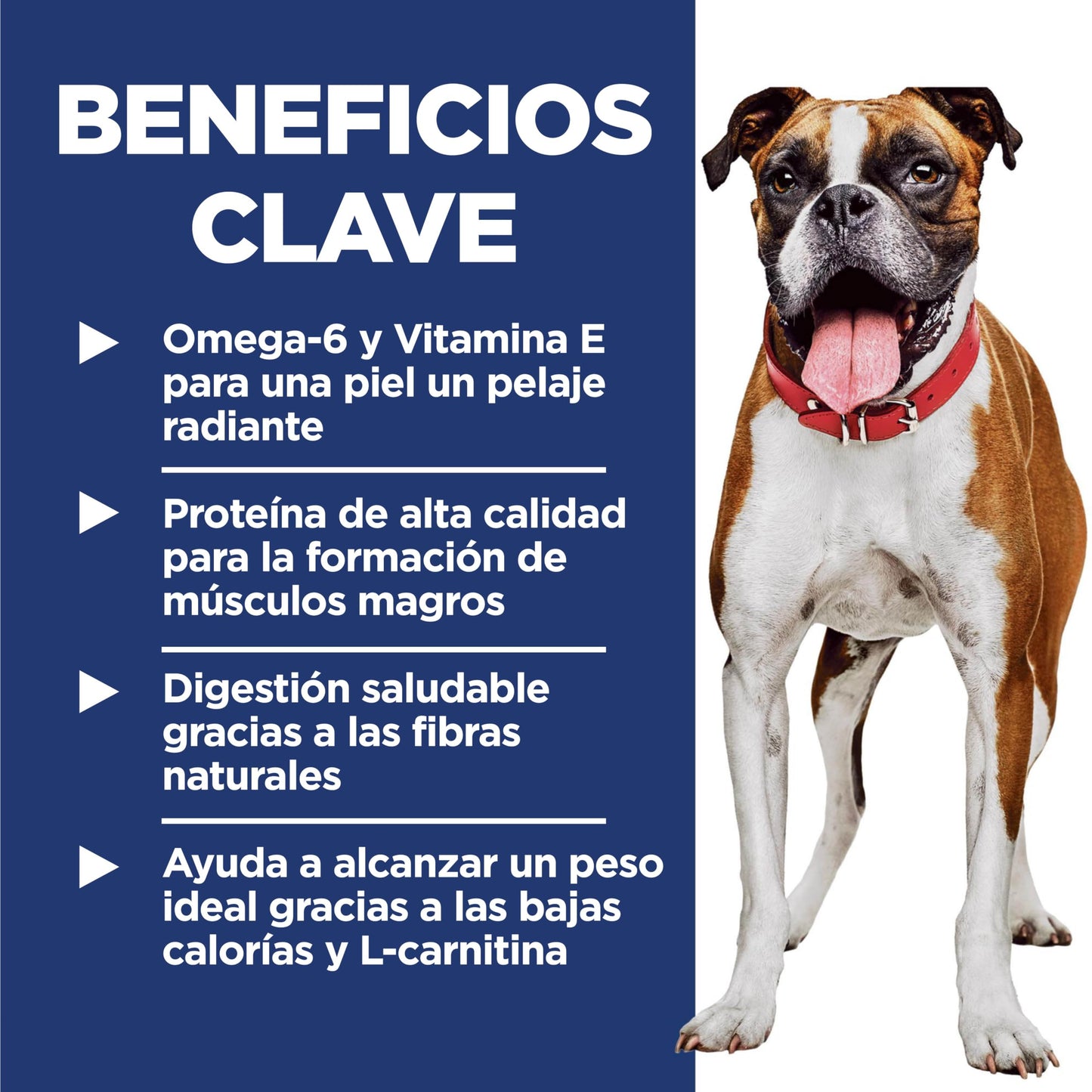 Hill's Science Diet Adult Light, Croquetas para Perro Adulto, Control De Calorías Sabor Pollo 13.6Kg