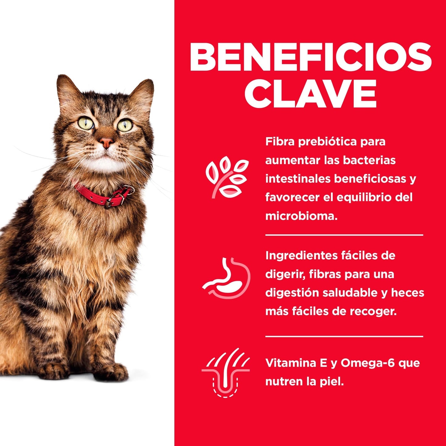 Hill's Science Diet Sensitive Skin & Stomach, Croquetas para Gato Adulto con Piel Y Estomago Sensible, Sabor Pollo 7Kg