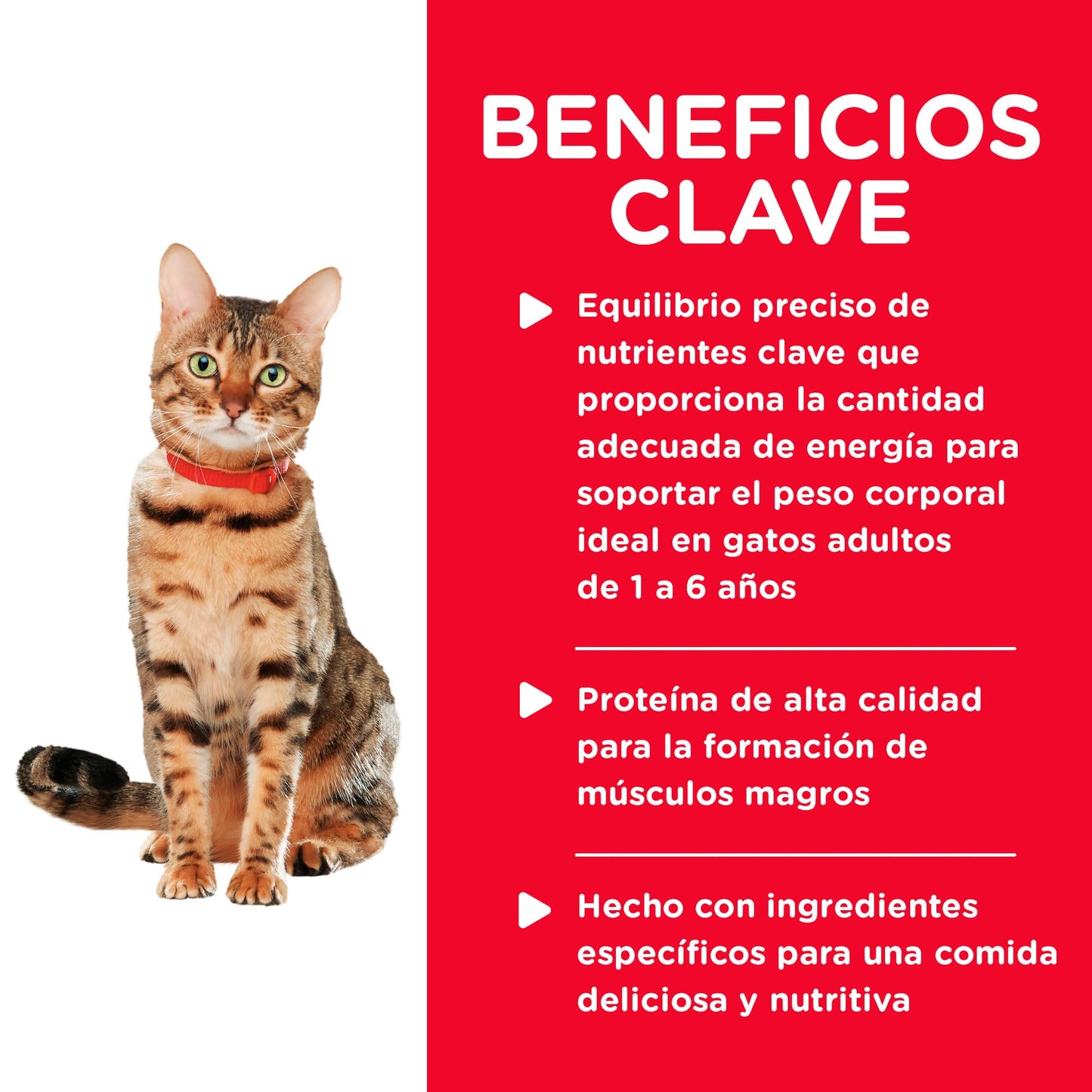 Hill's Science Diet, Croquetas para Gato Adulto, Sabor Pollo 7.3Kg