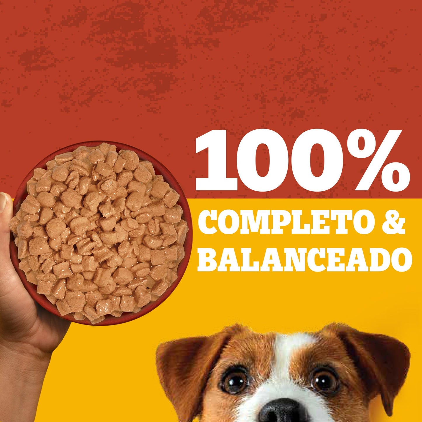 Pedigree - Sobres para Perro, Raza Pequeña, Sabor Pollo, con Ingredientes Naturales, Proteínas y Fibra, 24 Sobres, 100g c/u