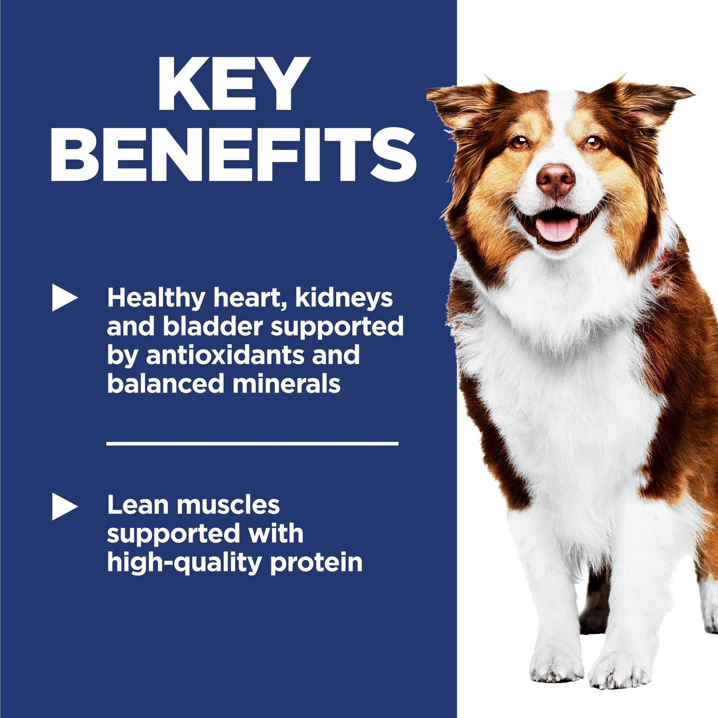 Hill's Science Diet Adult 7+, Alimento Húmedo para Perros Senior, 12 Pack C/U 369 G