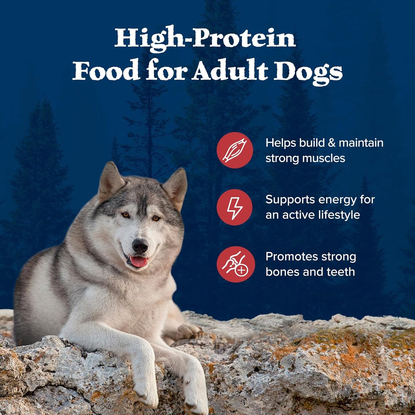 Blue Buffalo Wilderness Rocky Mountain Recipe High Protein Natural Adult Dry Dog Food, Red Meat with Grain 24 LB Bag