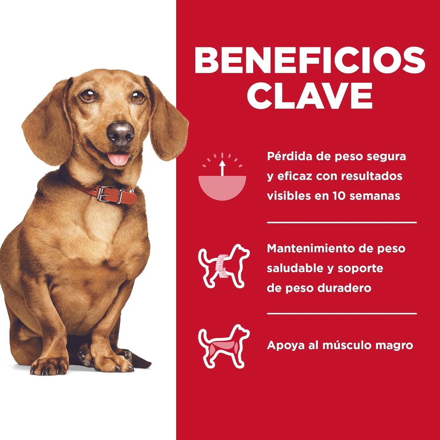 Hill's Science Diet Small & Mini Perfect Weight, Croquetas para Perro Adulto Raza Pequeña Sabor Pollo 5.7Kg