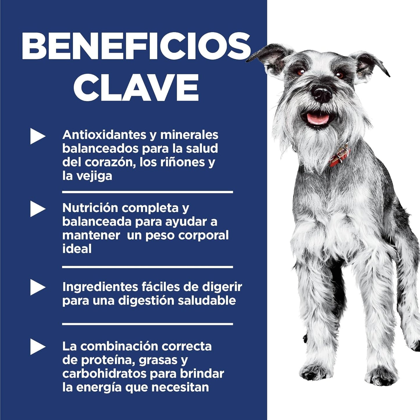 Hill's Science Diet Small & Mini Adult 7+, Croquetas para Perro Senior Razas Pequeña Y Mini, Sabor Pollo Y Arroz Integral 2Kg