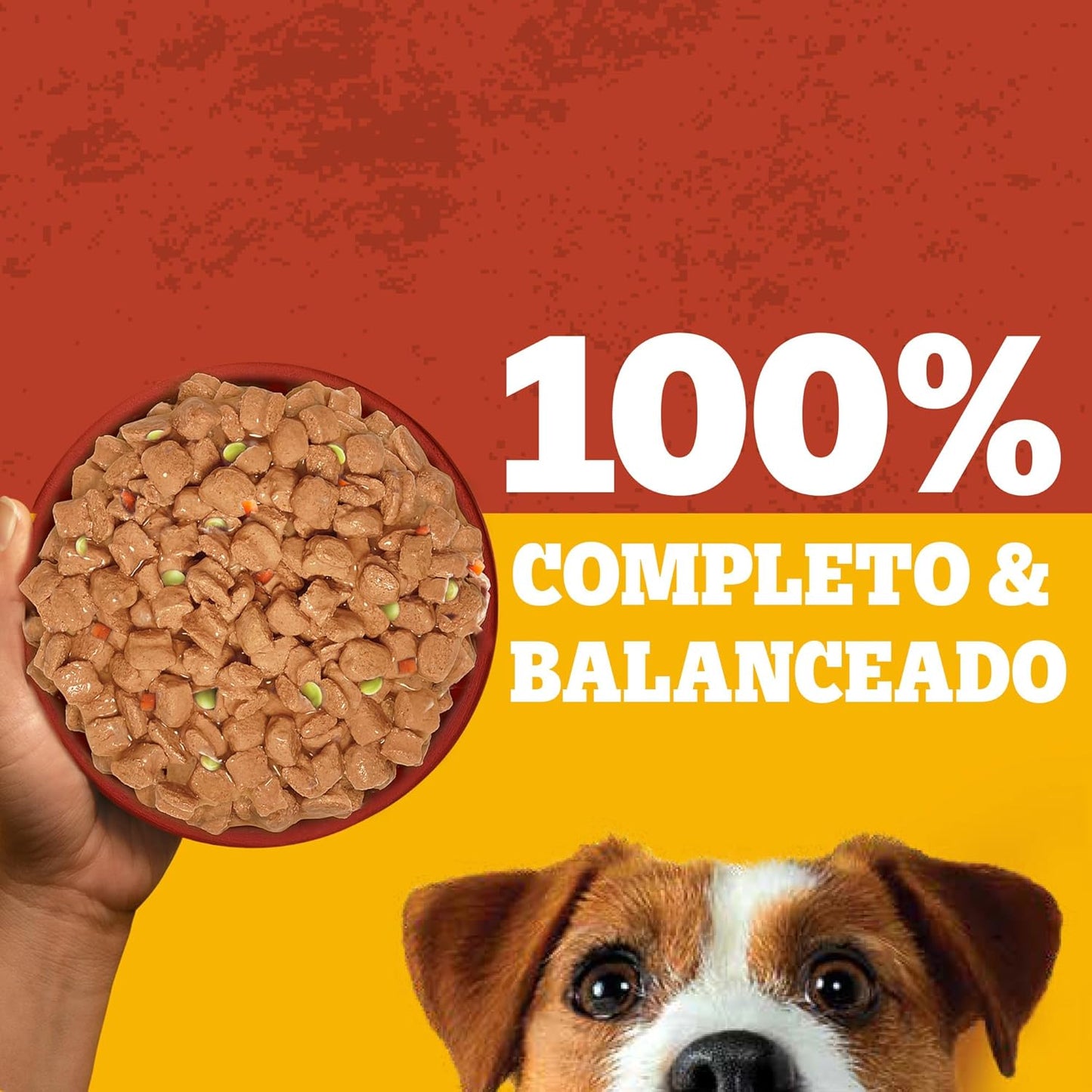 Pedigree - Sobres para Perro Cachorro, Raza Pequeña, Pollo y Vegetales, Nutrición para tu Mascota, Proteínas y Fibras, 24 Sobres