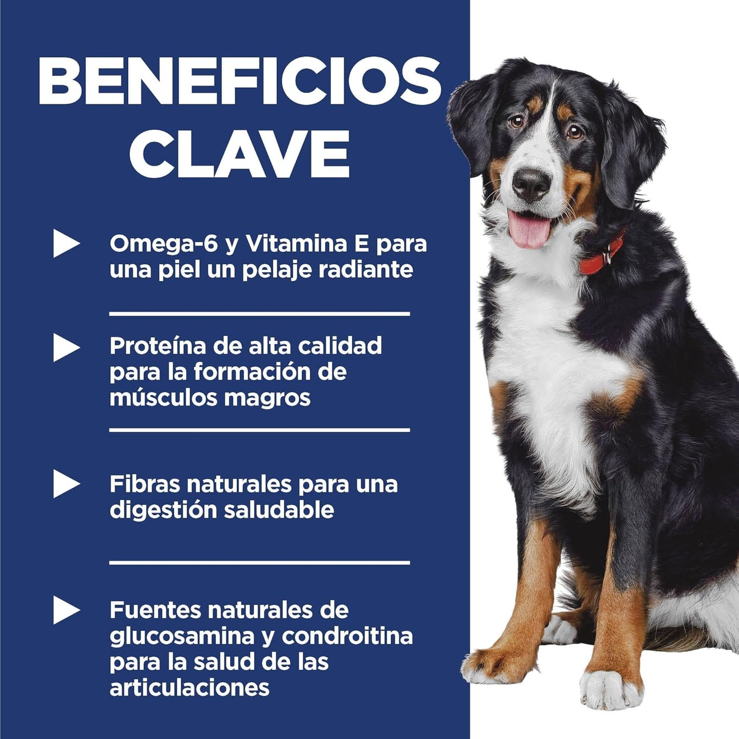 Hill's Science Diet Adult Large Breed, Croquetas para Perro Adulto De Raza Grande, Sabor Pollo Y Cebada 20.4Kg