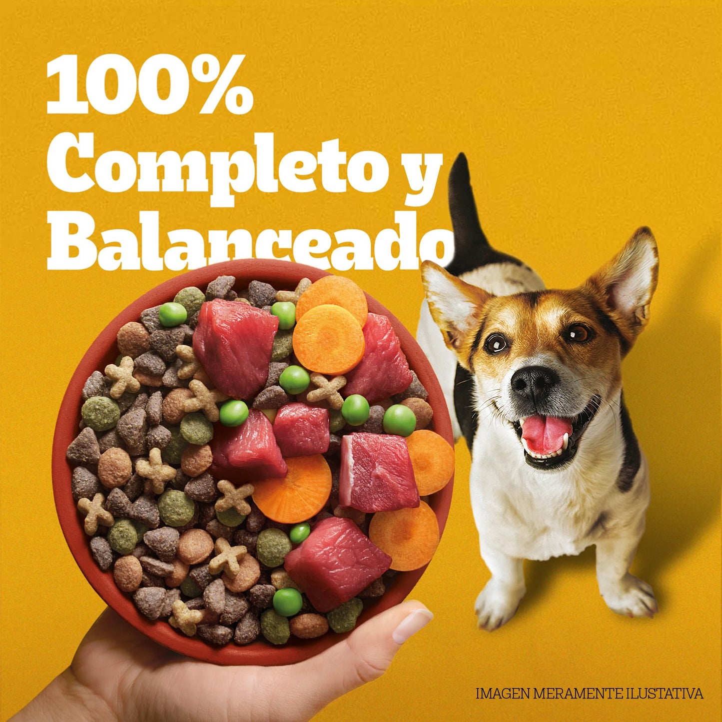 Pedigree - Croquetas para Perro 4 kg, con Res y Vegetales, Razas Pequeñas, con Proteína, Fibra y Antioxidantes