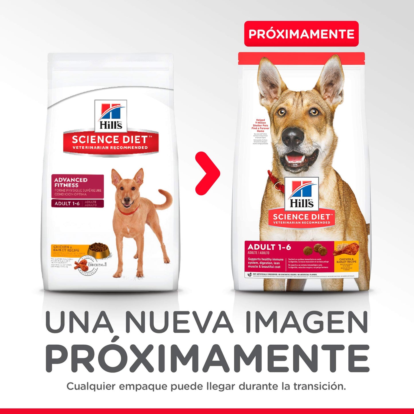 Hill's Science Diet, Croquetas para Perro Adulto Sabor Cordero 15Kg