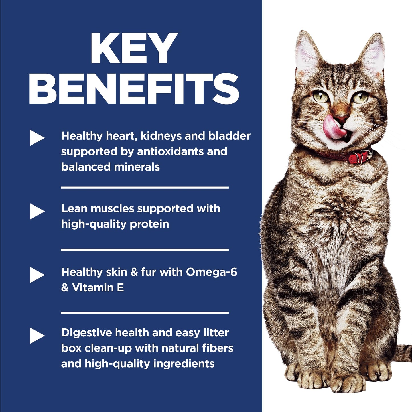 Hill's Science Diet Adult 7+ Indoor, Croquetas para Gato Senior De Interiores, Sabor Pollo 3.2Kg