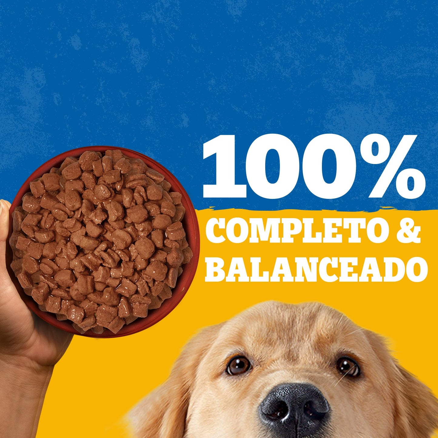 Pedigree Alimento Húmedo para Perro Adulto Res En Filetes 24 Sobres
