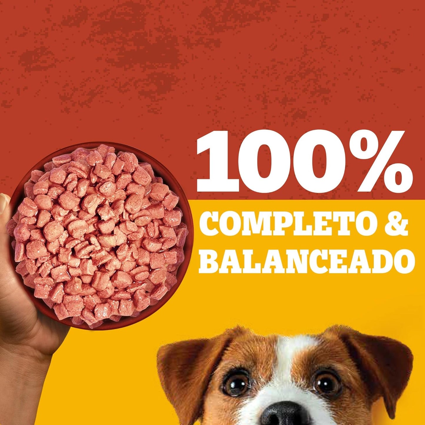 Pedigree - Sobres para Perro, Raza Pequeña, Sabor Cordero, con Ingredientes Naturales, Proteínas y Fibra, 24 Sobres, 100g c/u