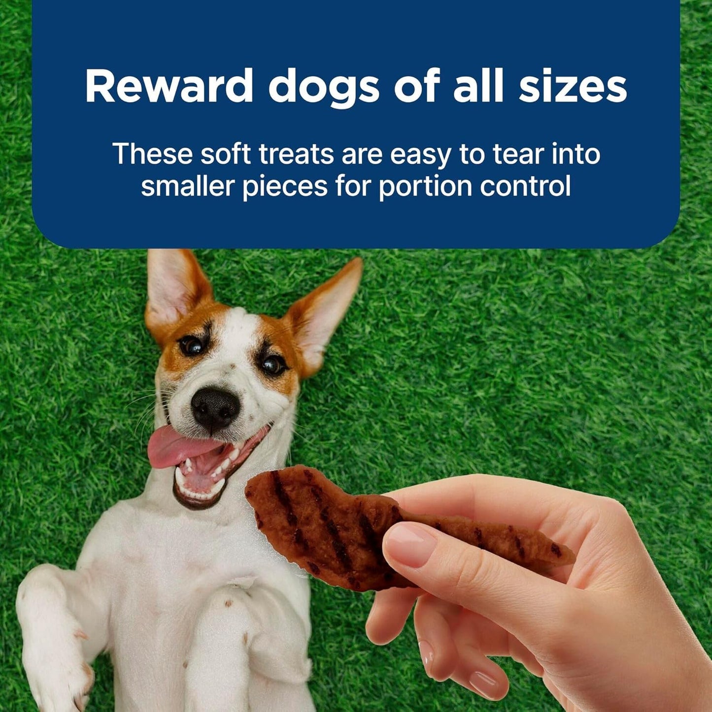 Blue Buffalo Nudges Grillers Natural Dog Treats, Steak, 36oz Bag
