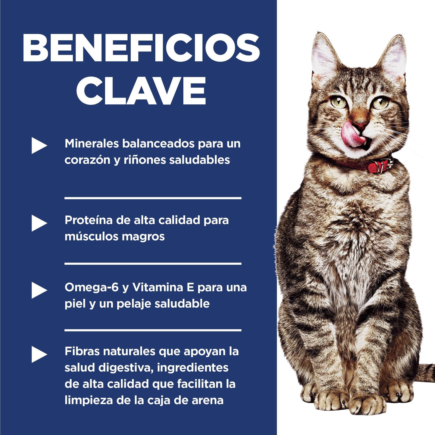 Hill's Science Diet Adult 7+ Indoor, Croquetas para Gato Senior De Interiores, Sabor Pollo 3.2Kg