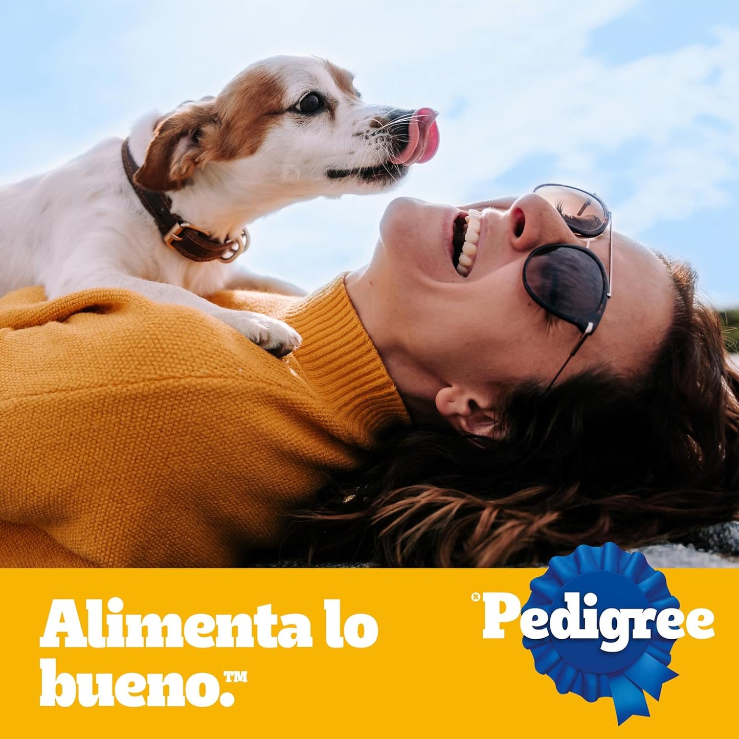 Pedigree - Croquetas para Perro 10 kg, on Res y Vegetales, Razas Pequeñas y Minis, con Proteína, Fibra y Antioxidantes