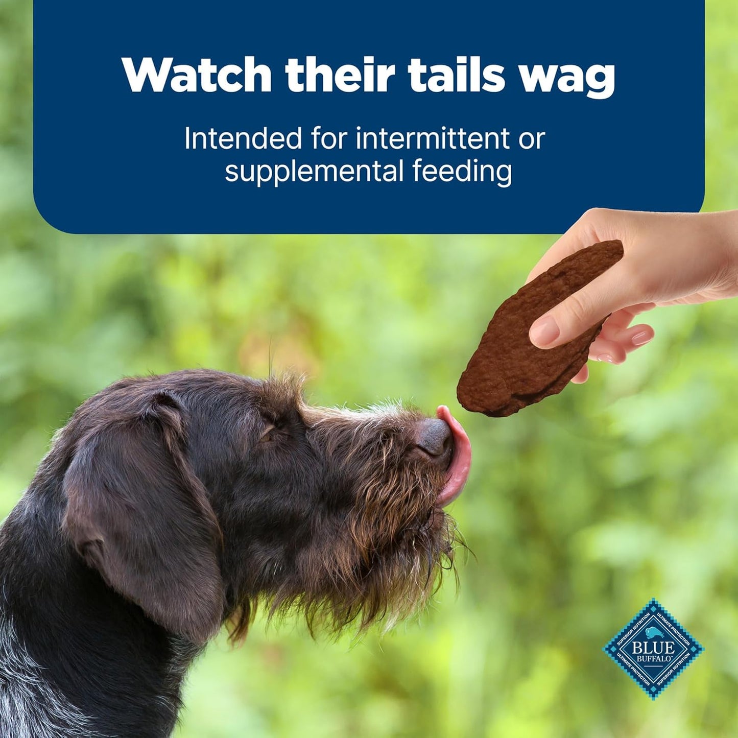 Blue Buffalo Nudges Jerky Cuts Natural Dog Treats