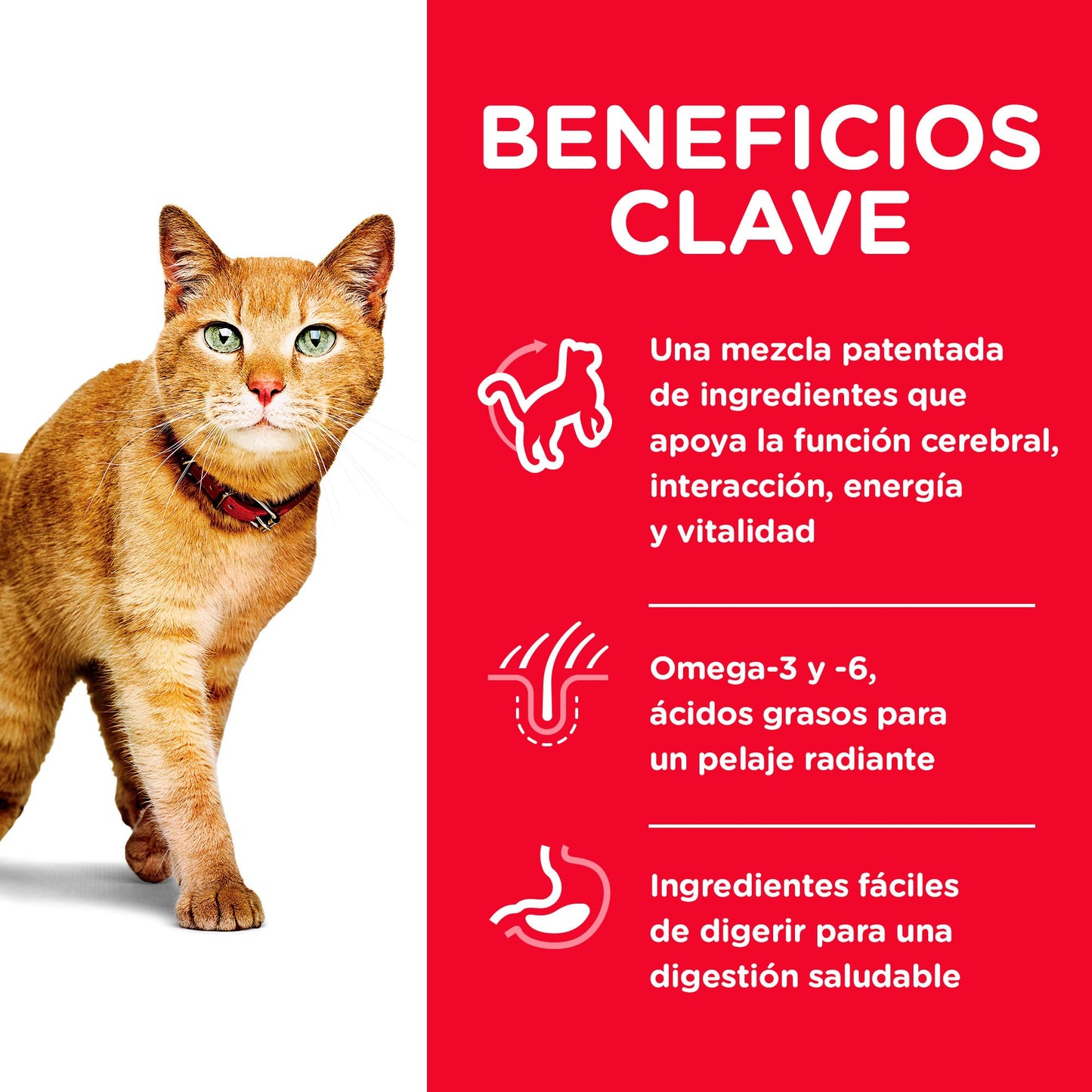 Hill's Science Diet Senior Vitality 7+, Croquetas para Gato Senior, Sabor Pollo 1.4Kg