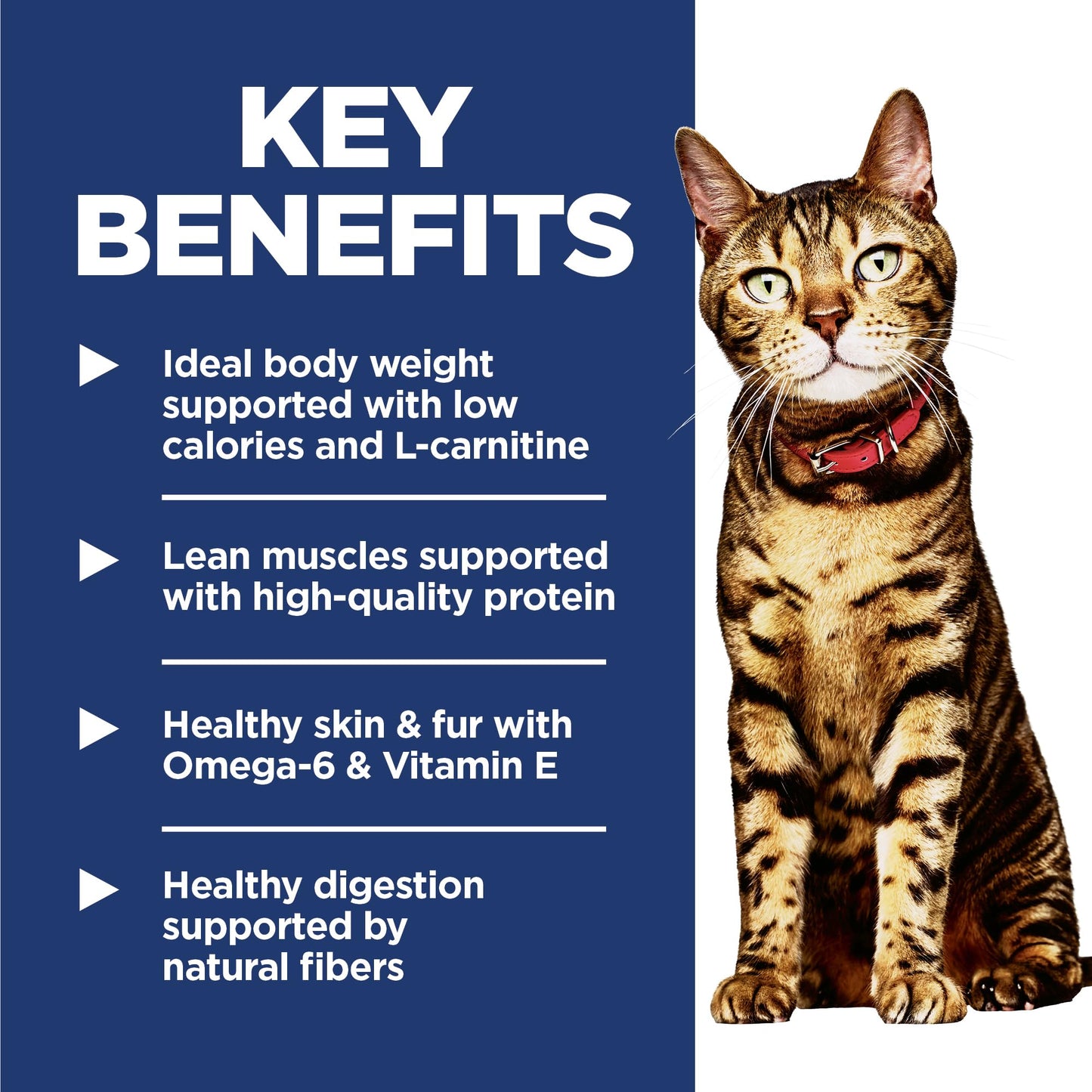 Hill's Science Diet Light, Croquetas para Gato Adulto Bajas En Calorias, Sabor Pollo 7.3Kg