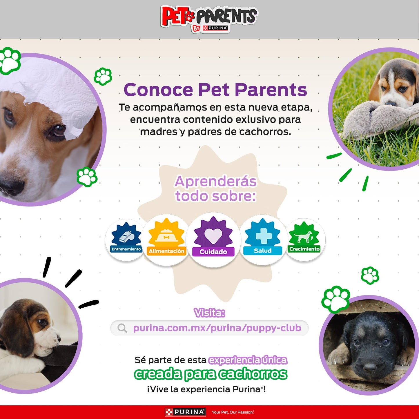 Purina Dog Chow Cachorro Raza Mediana y Grande Sabor Carne, Pollo y Frutas 7.5Kg