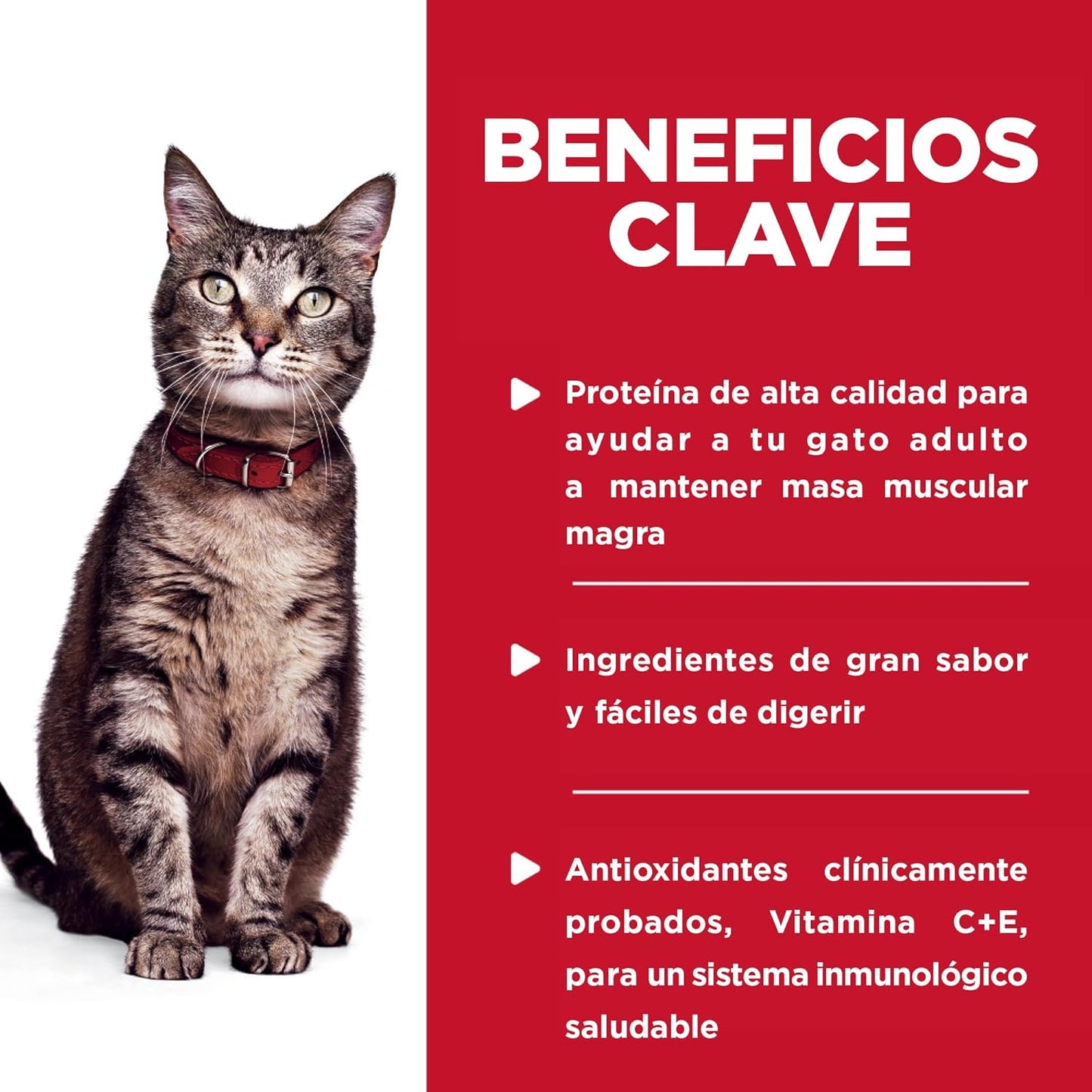 Hill's Science Diet Adult, Alimento Húmedo En Pouch para Gatos Adultos, Platillo De Pollo, 24 Pack C/U 79 G