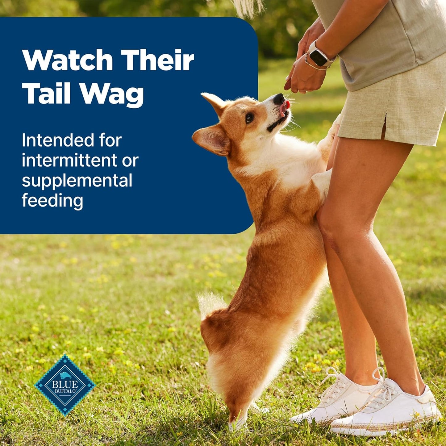 Blue Buffalo Nudges Grillers Natural Dog Treats, Steak, 10oz Bag