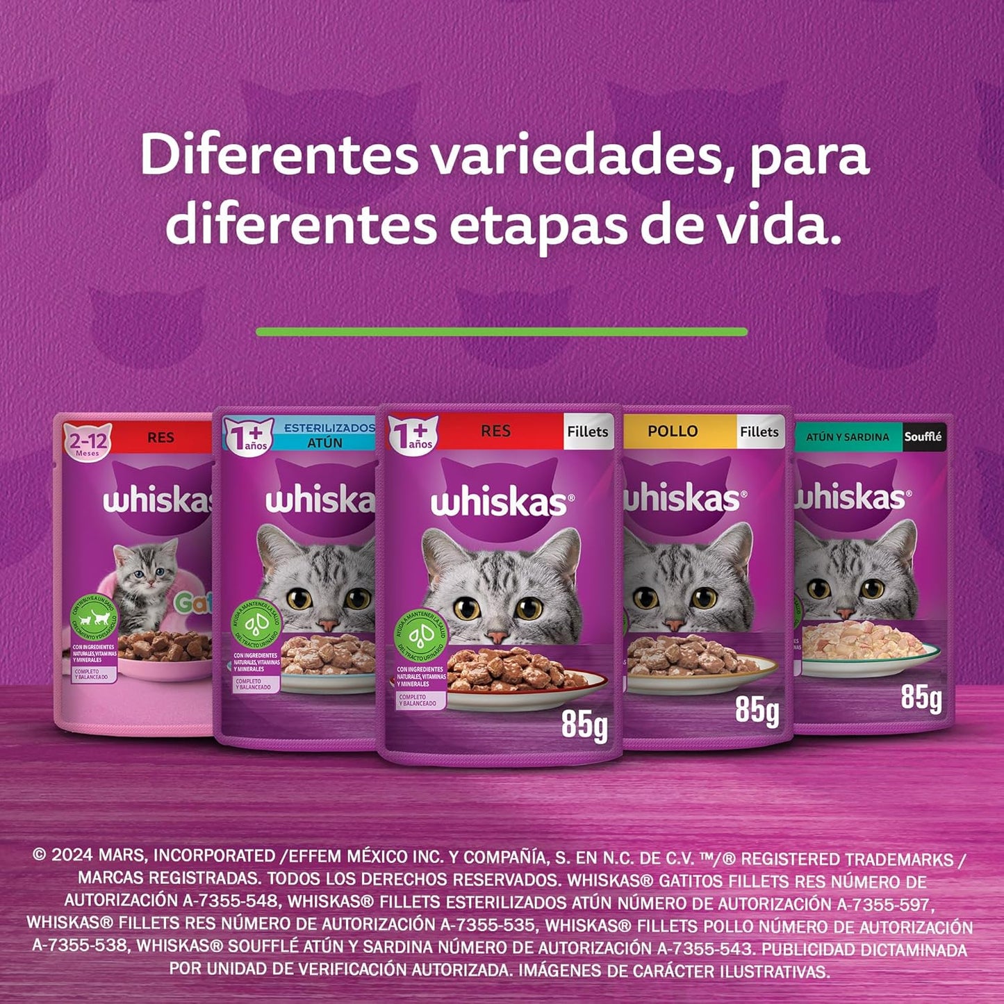 Whiskas Alimento Húmedo para Gatitos, Sabor Res, 85g c/u. Paquete de 24 Unidades