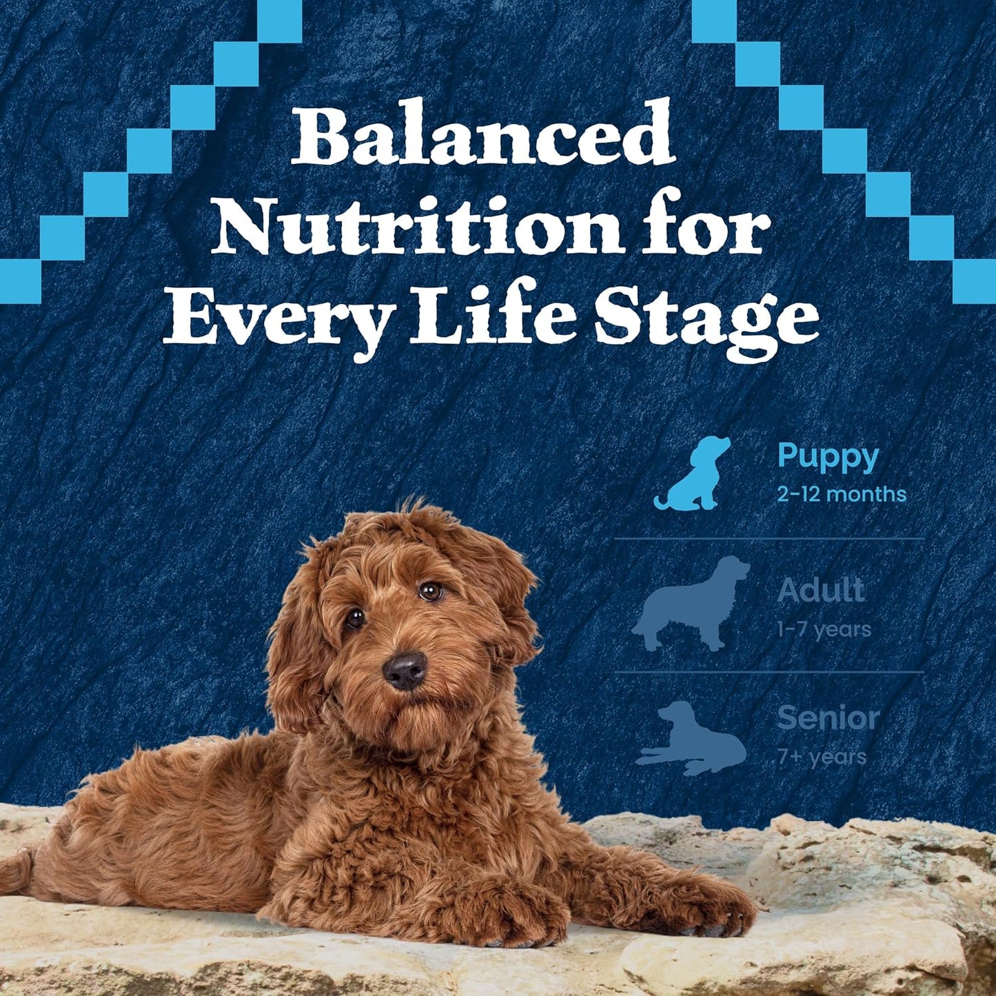 Blue Buffalo Wilderness High Protein Natural Puppy Dry Dog Food Plus Wholesome Grains, Chicken 4.5 lb Bag