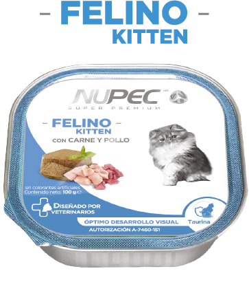 Nupec Felino Kitten